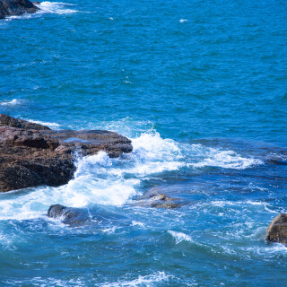 IMG_0463_1663724729322